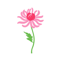 Garden Roses Flowers