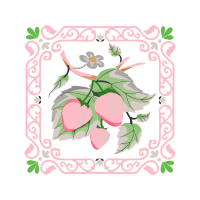 Garden Roses Flowers