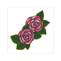 Garden Roses Flowers Garden Roses Flowers