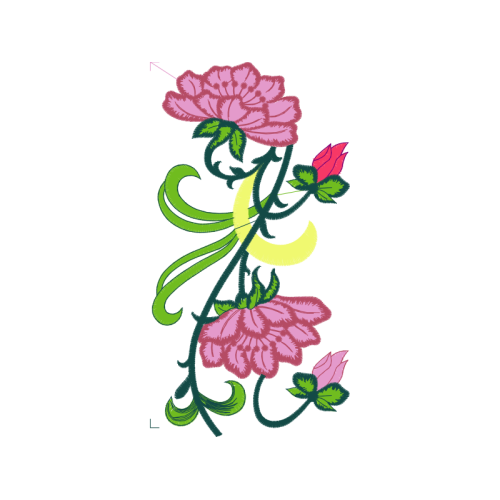 Garden Roses Flowers Garden Roses Flowers