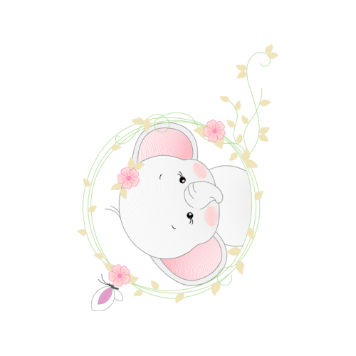 Garden Roses Flowers Garden Roses Flowers