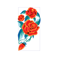 Garden Roses Flowers