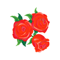 Garden Roses Flowers