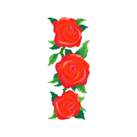 Garden Roses Flowers