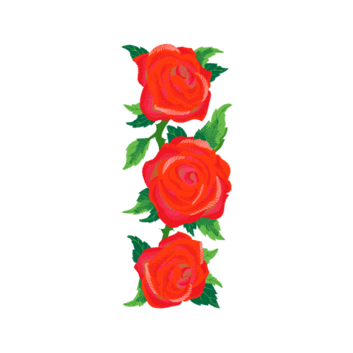 Garden Roses Flowers Garden Roses Flowers