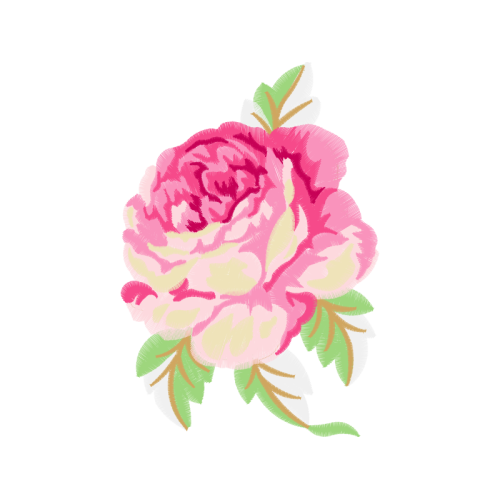 Garden Roses Flowers Garden Roses Flowers