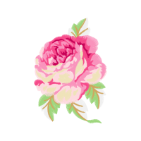 Garden Roses Flowers Garden Roses Flowers