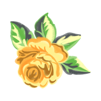 Garden Roses Flowers Garden Roses Flowers