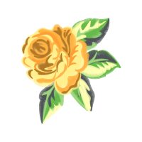 Garden Roses Flowers Garden Roses Flowers