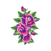 Garden Roses Flowers Garden Roses Flowers