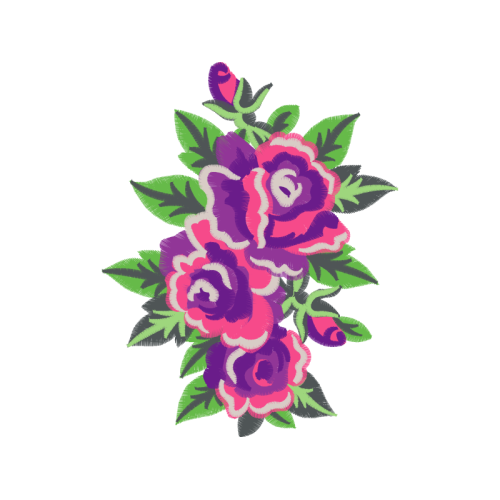 Garden Roses Flowers Garden Roses Flowers