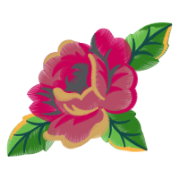 Garden Roses Flowers Garden Roses Flowers