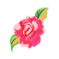 Garden Roses Flowers Garden Roses Flowers