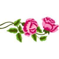 Garden Roses Flowers