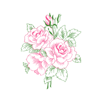 Garden Roses Flowers