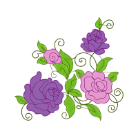 Garden Roses Flowers