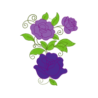 Garden Roses Flowers