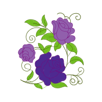 Garden Roses Flowers