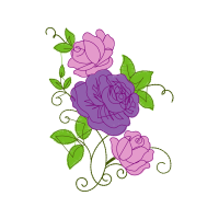 Garden Roses Flowers