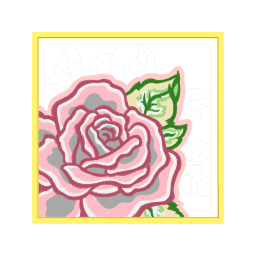 Garden Roses Flowers Garden Roses Flowers