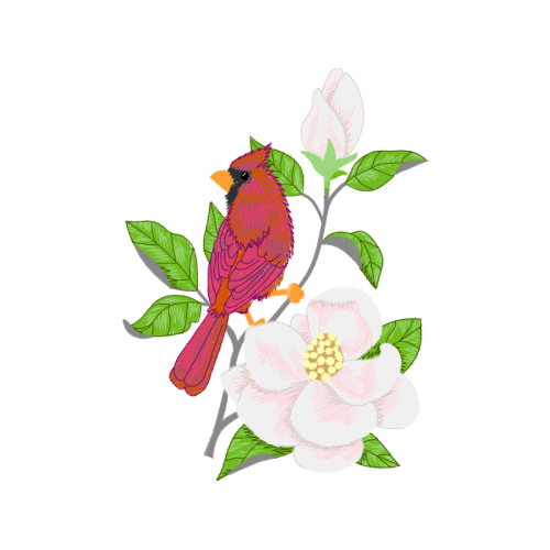 Garden Roses Flowers Garden Roses Flowers