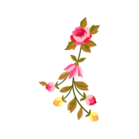 Garden Roses Flowers Garden Roses Flowers