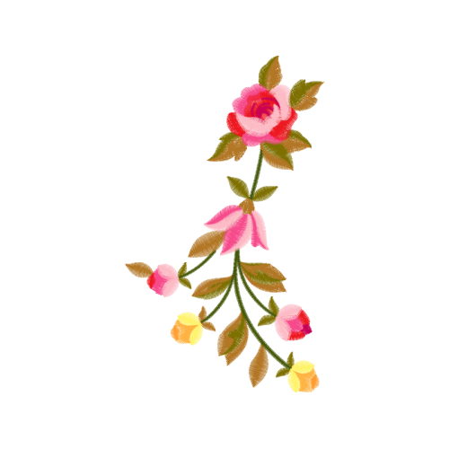 Garden Roses Flowers Garden Roses Flowers