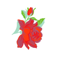 Garden Roses Flowers Garden Roses Flowers