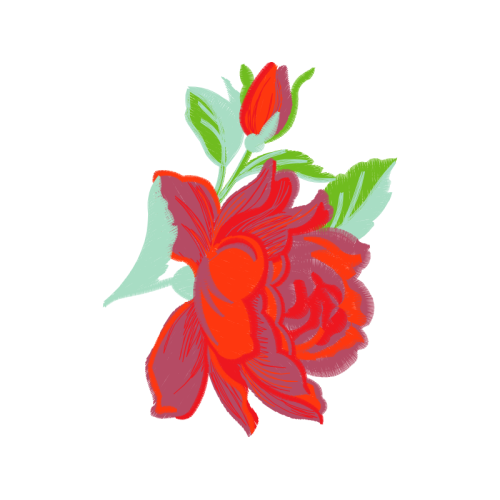 Garden Roses Flowers Garden Roses Flowers