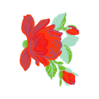 Garden Roses Flowers Garden Roses Flowers