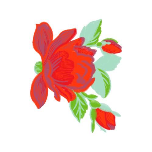 Garden Roses Flowers Garden Roses Flowers