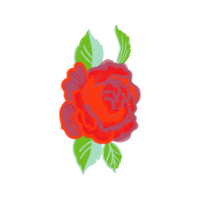 Garden Roses Flowers Garden Roses Flowers