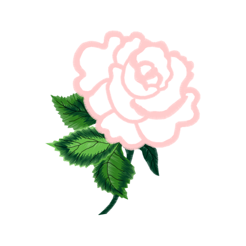 Garden Roses Flowers Garden Roses Flowers