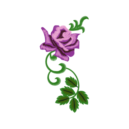 Garden Roses Flowers Garden Roses Flowers