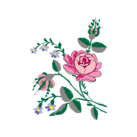 Garden Roses Flowers