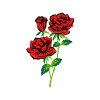 Garden Roses Flowers