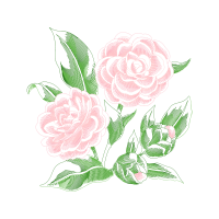 Garden Roses Flowers Garden Roses Flowers