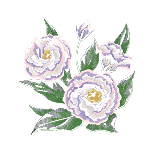 Garden Roses Flowers Garden Roses Flowers