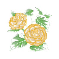 Garden Roses Flowers Garden Roses Flowers