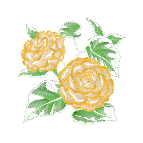 Garden Roses Flowers Garden Roses Flowers