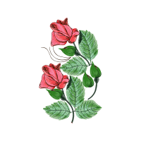 Garden Roses Flowers Garden Roses Flowers