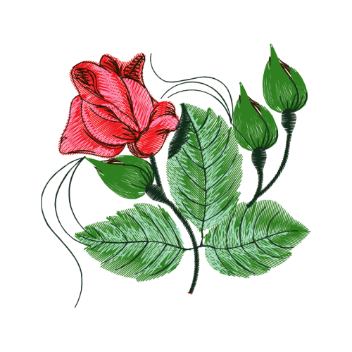 Garden Roses Flowers Garden Roses Flowers