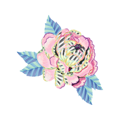 Garden Roses Flowers Garden Roses Flowers