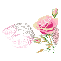 Garden Roses Flowers Garden Roses Flowers