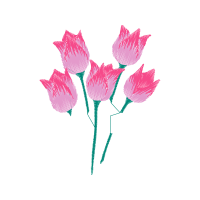 Garden Roses Flowers Garden Roses Flowers