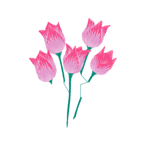 Garden Roses Flowers Garden Roses Flowers