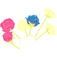 Garden Roses Flowers Garden Roses Flowers