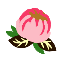 Garden Roses Flowers Garden Roses Flowers