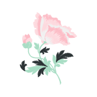 Garden Roses Flowers Garden Roses Flowers