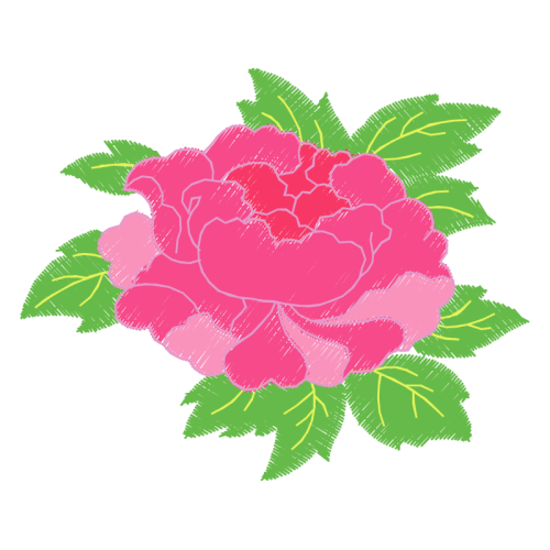 Garden Roses Flowers Garden Roses Flowers